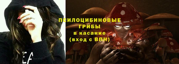 стаф Алексин