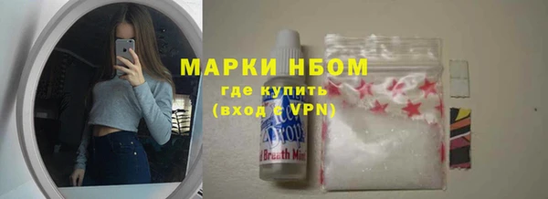 прущие грибы Абинск