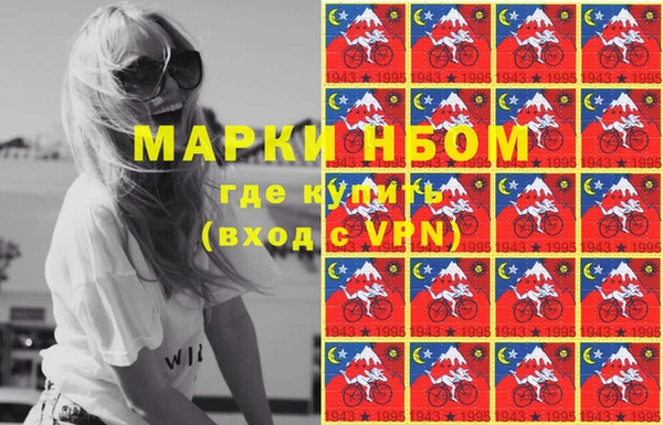 стаф Алексин