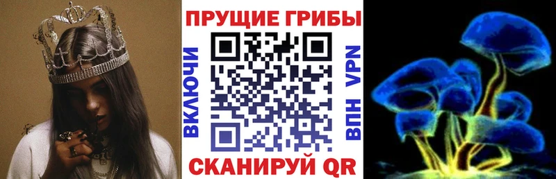 Галлюциногенные грибы Psilocybe  Сольвычегодск 